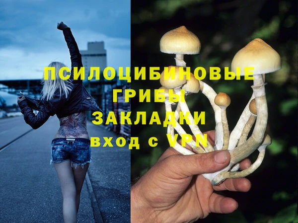 метадон Алексеевка