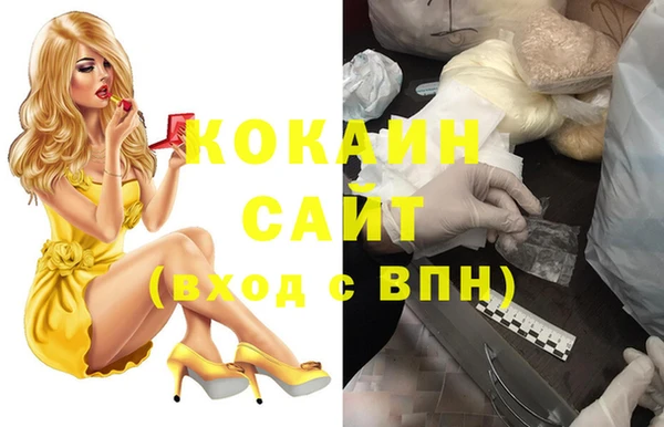 гидра Алзамай