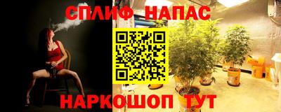 твердый Ставрополь