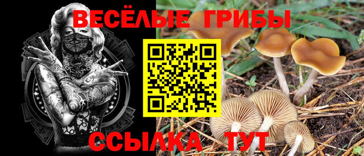 Псилоцибиновые грибы мицелий  Вход с VPN  Раменское  Галлюциногенные грибы Psilocybe 