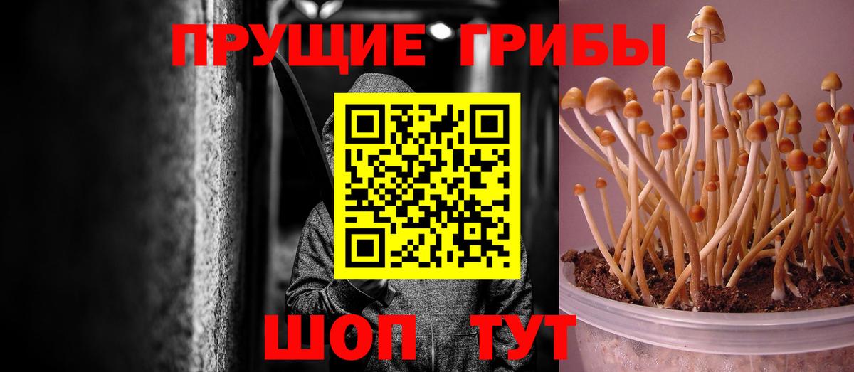 Галлюциногенные грибы прущие грибы Раменское