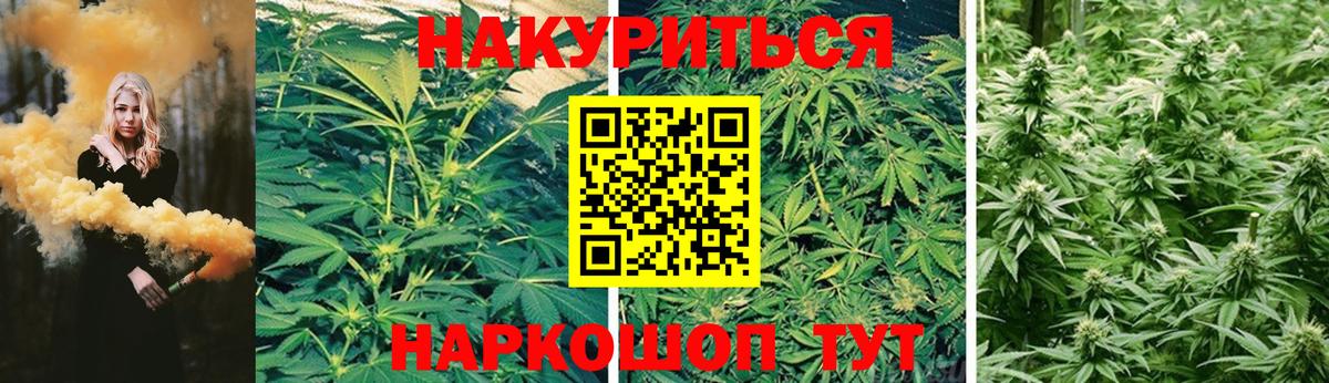 Бошки Шишки VHQ  Каннабис Ganja  Марихуана сатива  Раменское  Вход с VPN 